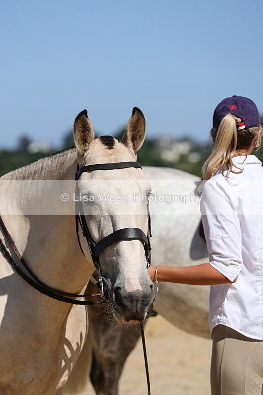 1X9A8063 - Class 11: Open Cob