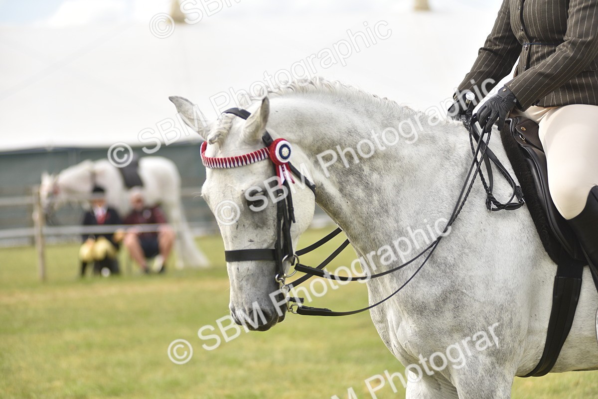 SBM_17721 - Class 122-123 - LIHS BHSA Raising Star Style and Performance Series