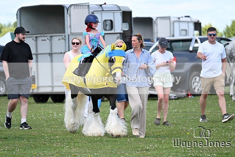 WJ7_7747 - Nancy And Churchill SORC summer show 21-06-26