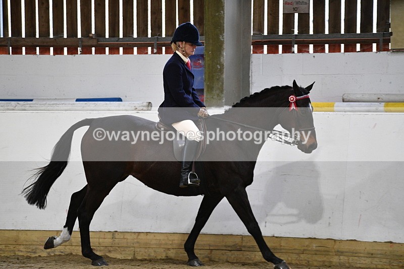 WJ5_7861 - Class 13 Ridden Part Breed