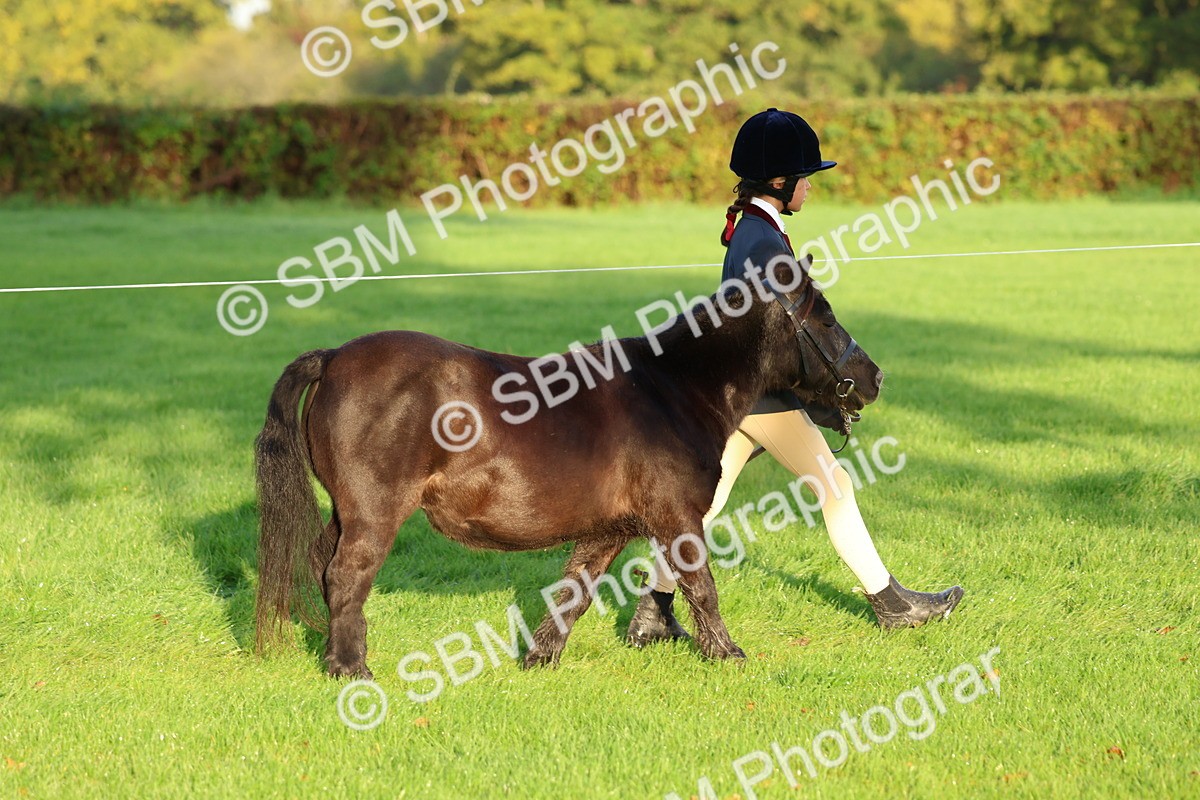 SBM_32759 - S8 - Best Turned Out
