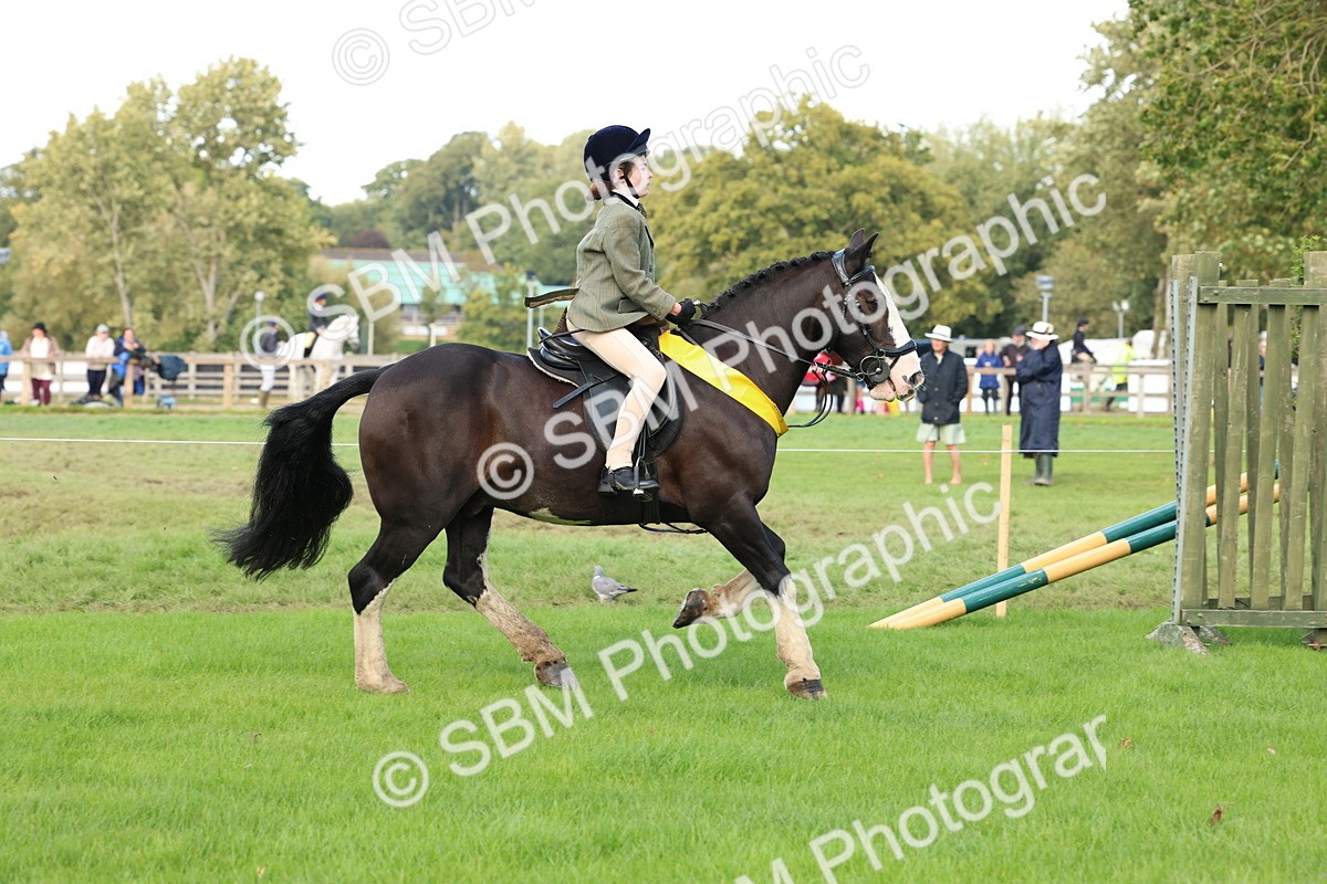 SBM_46343 - Working Hunter Pony Supreme Championship