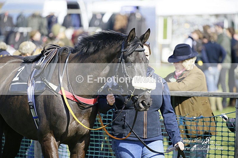 PtP 190322 140 - Wilton Hunt PtP Milborne St Andrew 19/03/22