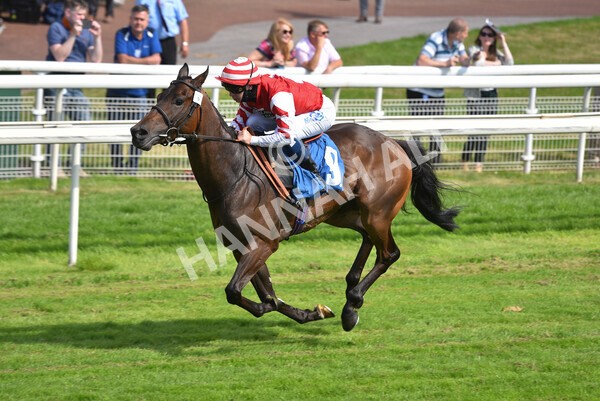 yr09072021r4-20 - Race 4 3.50pm William Hill Plus Bet Club Stakes