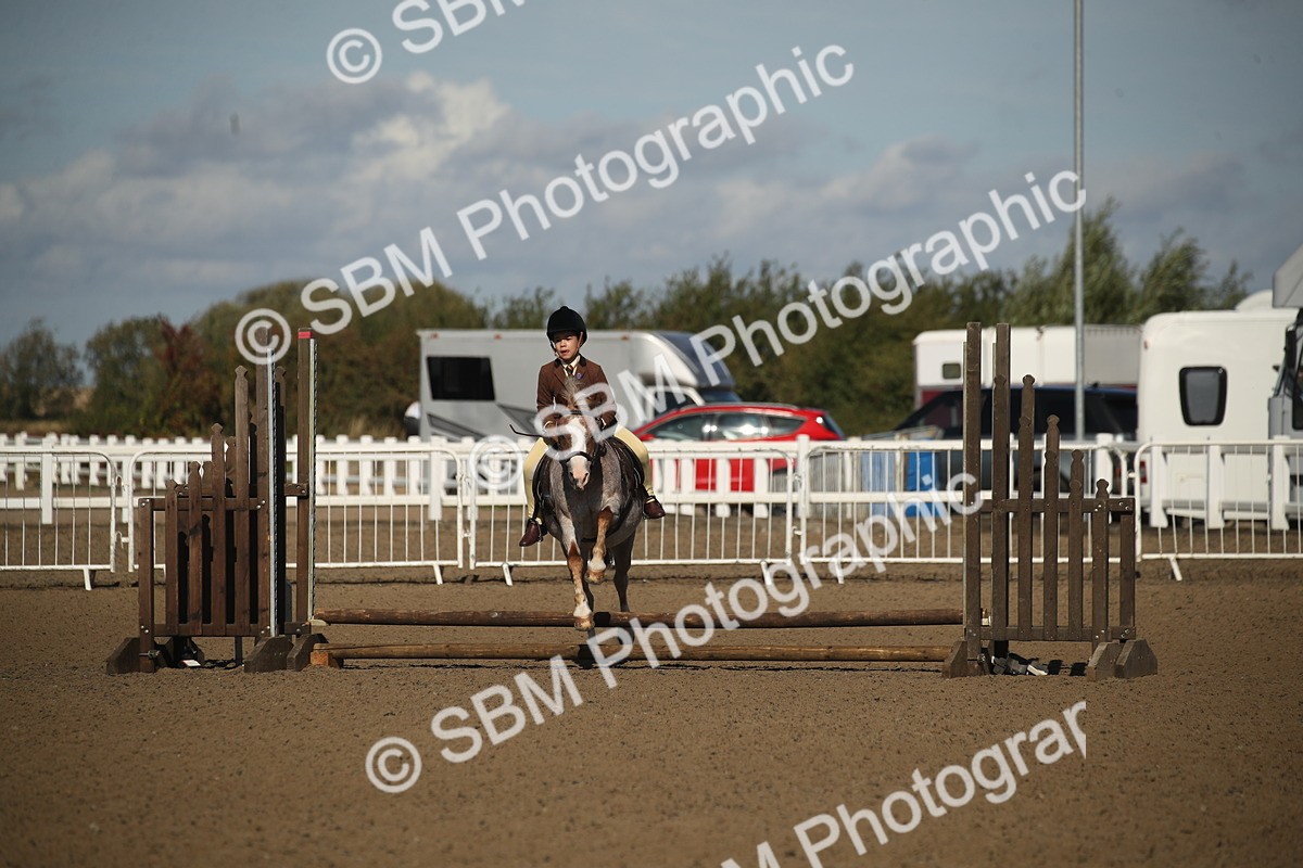 SBM_12706 - Class 504b - Junior Working Veteran - 40cm (20+)