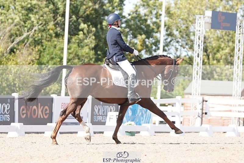 250906-150934-04673 - 108-Susan.JonesWoodlander.Summer.Breeze