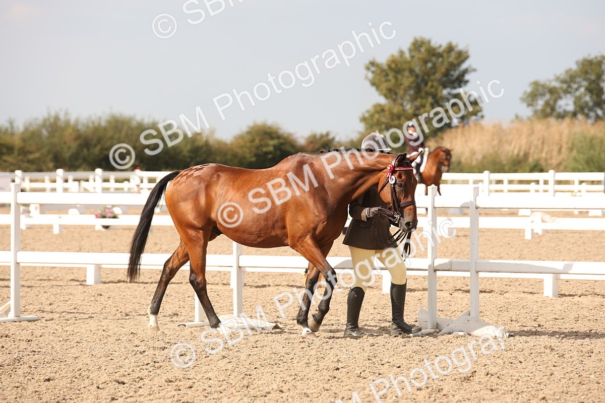 SBM_08125 - Class 27 - IH Competition Horse-Pony