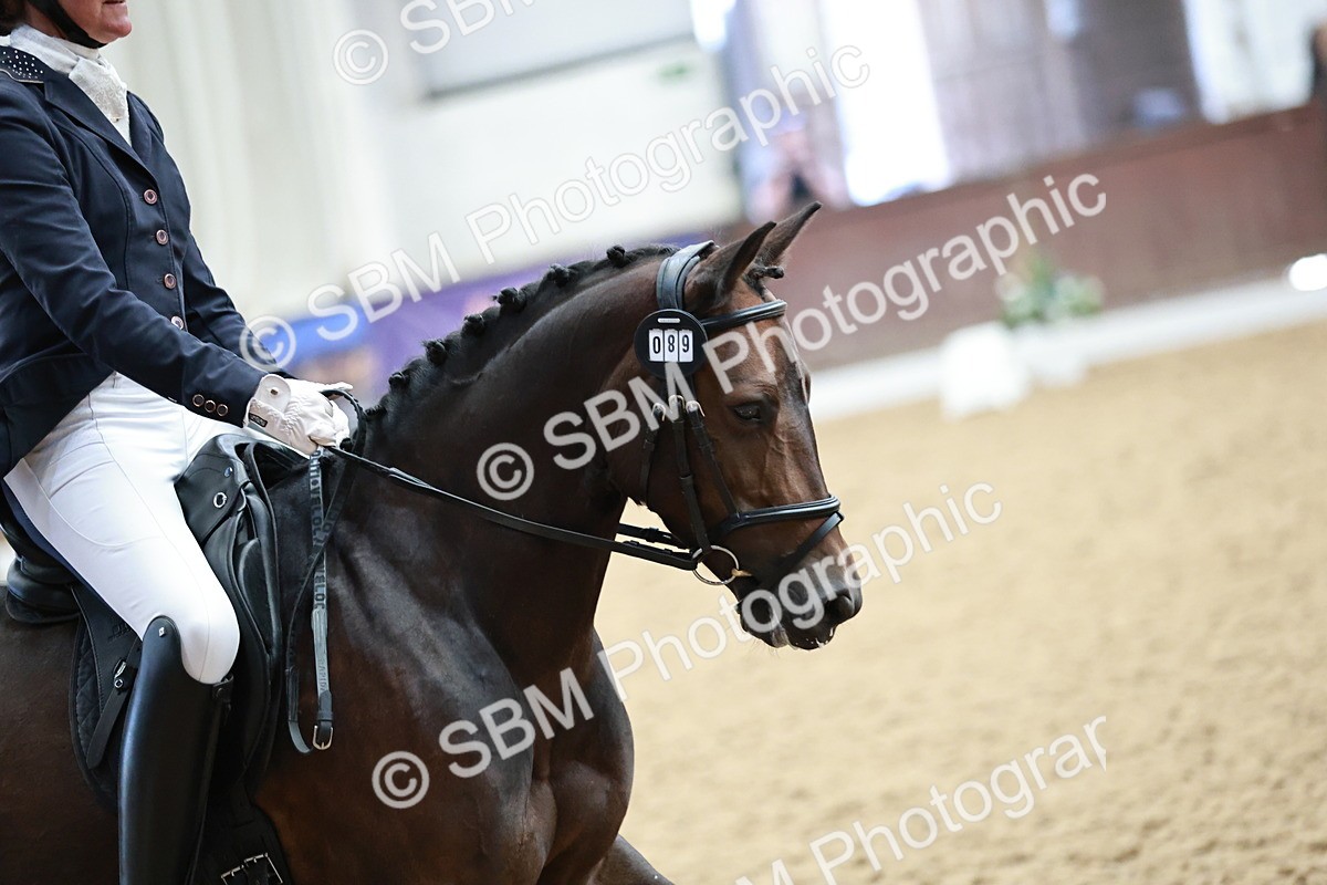 SBM_014176 - Class 7 - Ele FSM Bronze 12.12.13.08
