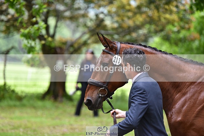 240522-163514-01027 - 213-GLOBAL_KARINA-Hector_Payne