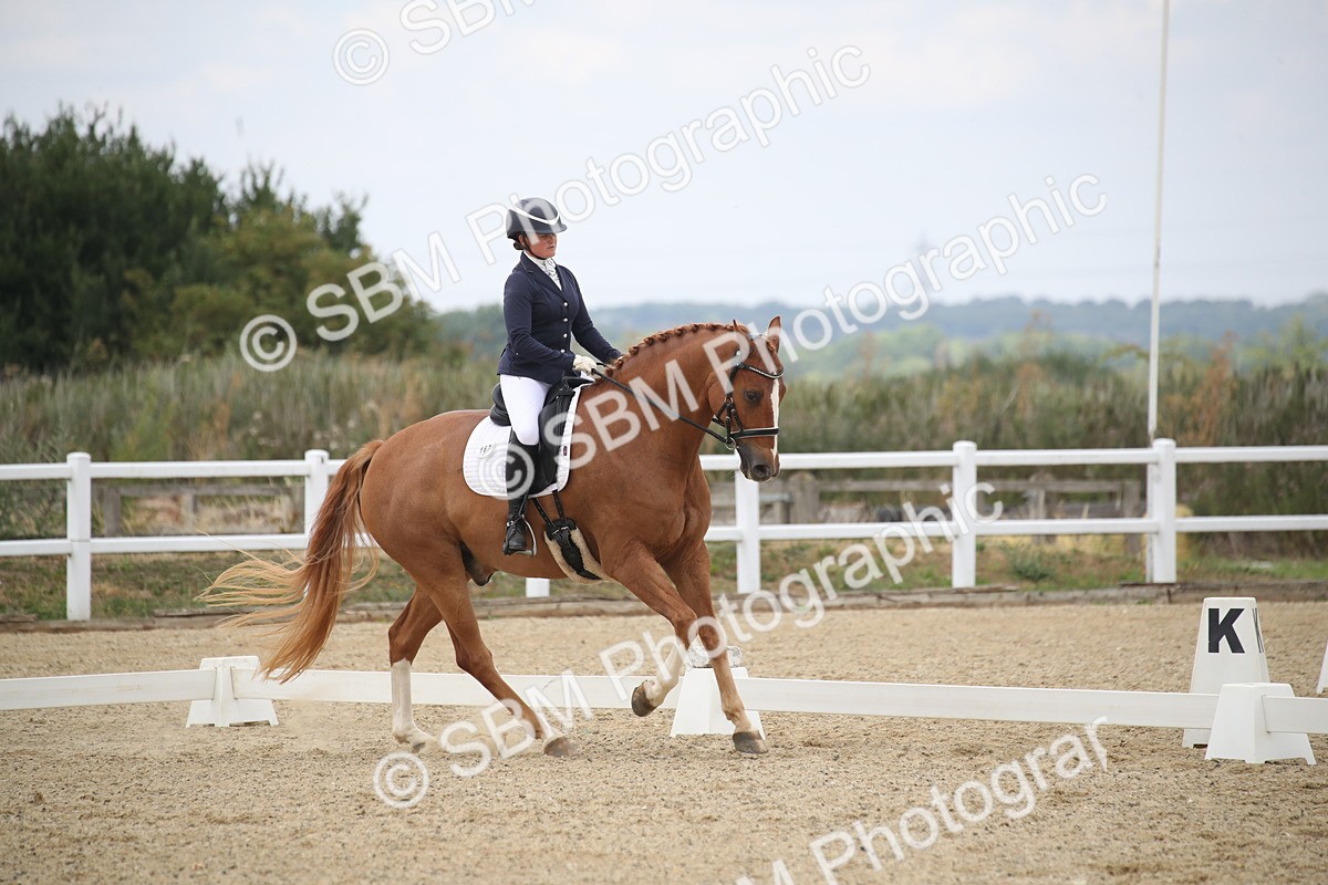 SBM_008900 - Novice 5 - 13.29-14.18