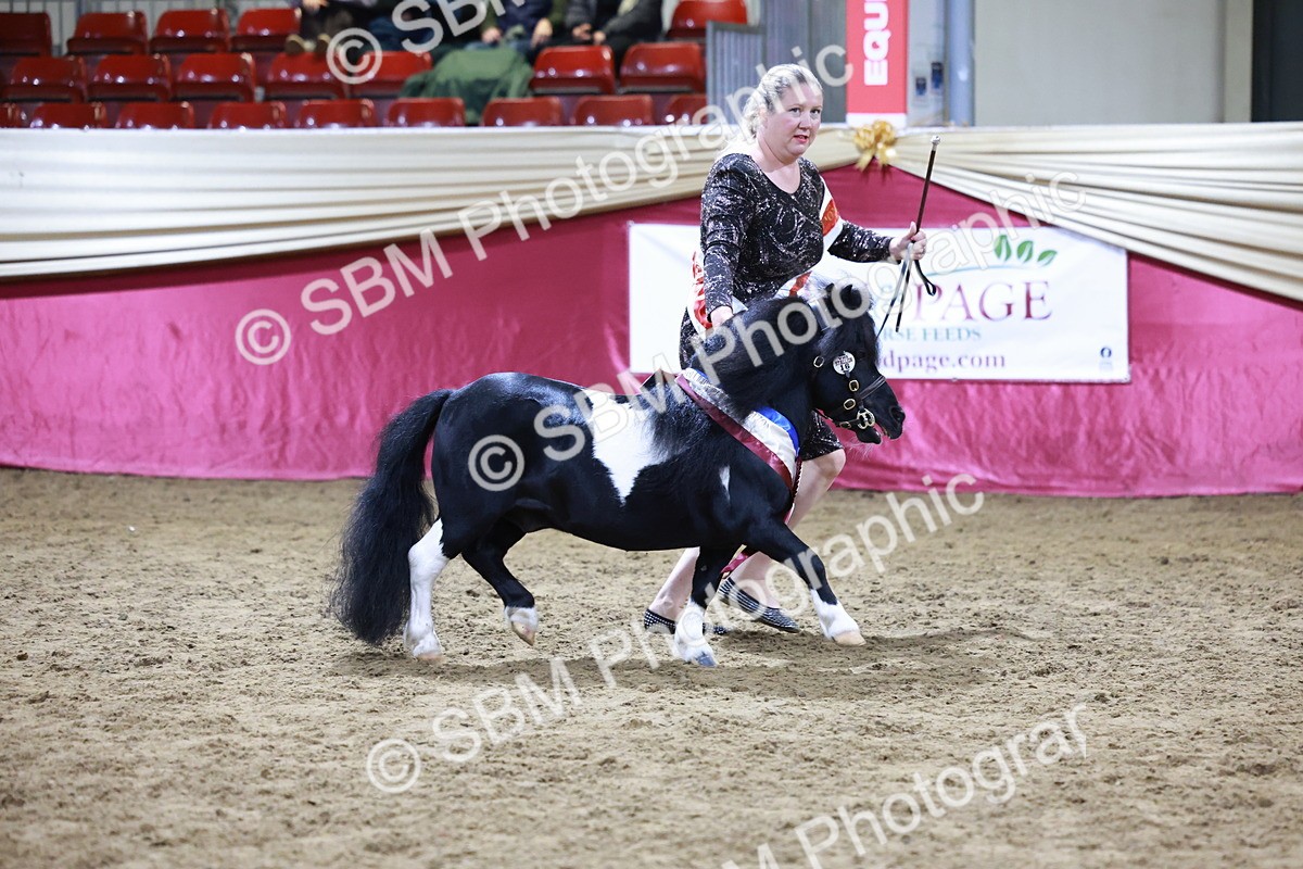 SBM_20876 - Class L - Coloured Champ