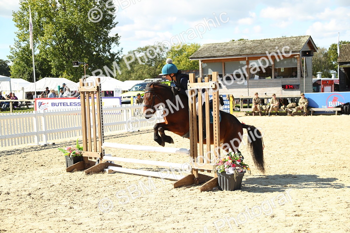 SBM_39385 - J6 - Junior Pony 55cm Championships