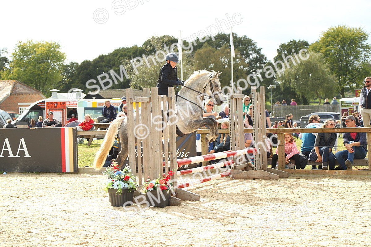 SBM_46572 - J7 - Junior Pony 60cm Championship