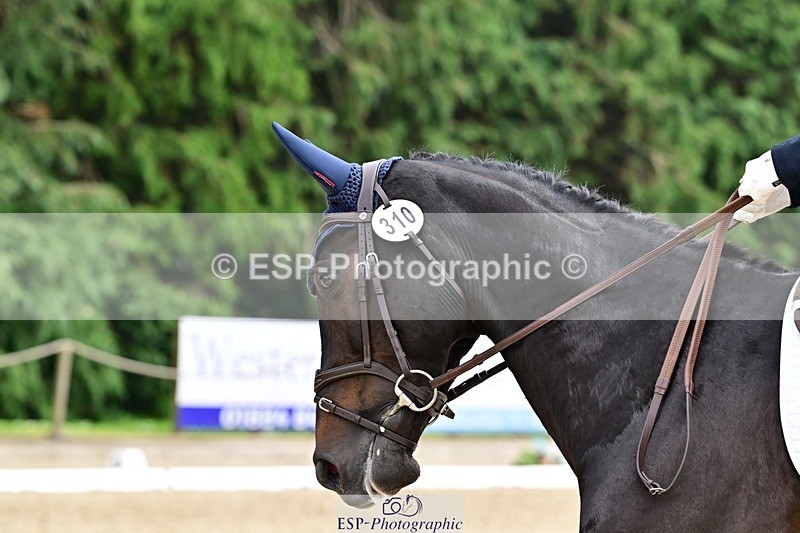 260528A-142650-04062 - C-310-Kate.Rocher-Smith