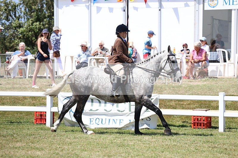3E7A8214 - Class 9A: Open Small Hunter