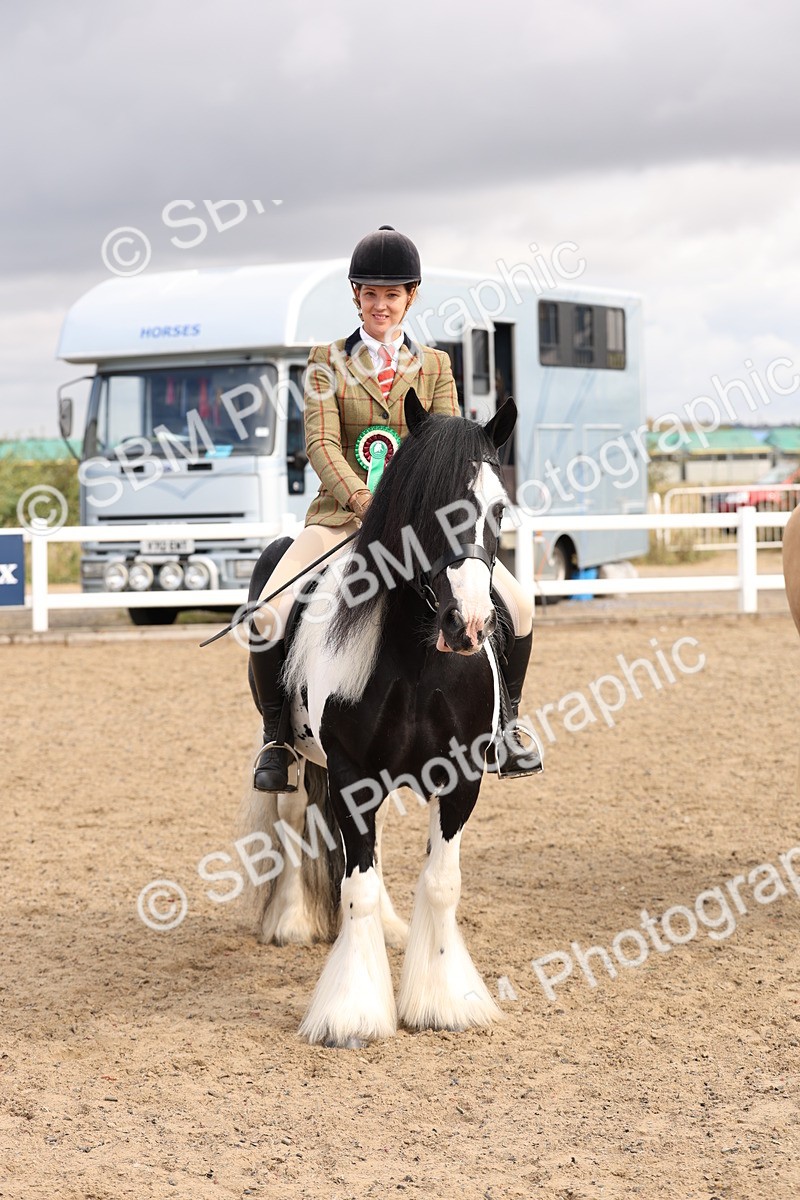 SBM_04313 - Class 54 - Riding Club Horse/Pony