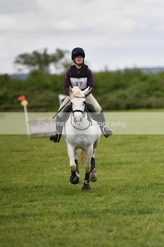 WJ5_3588 - Class 6 80cm