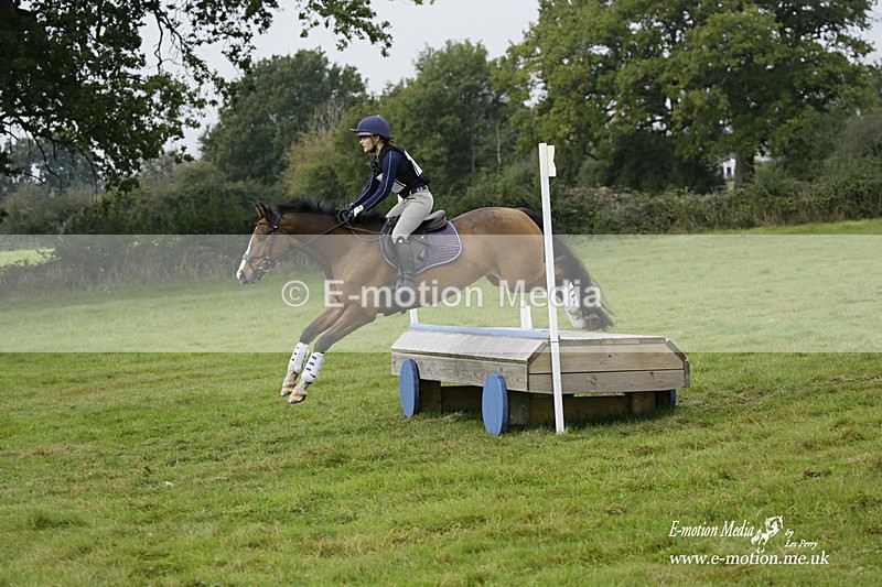  WWHT 171021 0989 - Open Novice (0.80m)  17/10/21