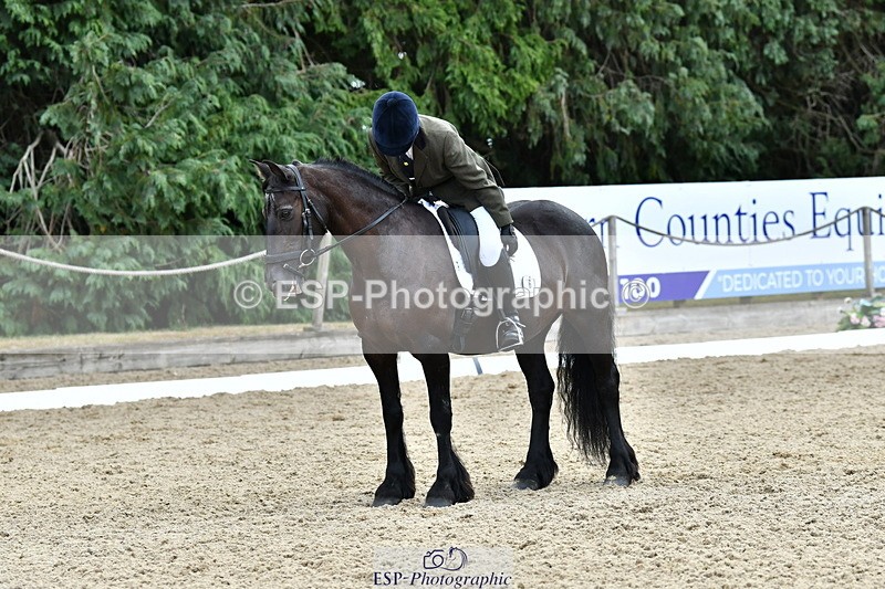 260801A-122453-03925 - Prelim Bronze Break - End