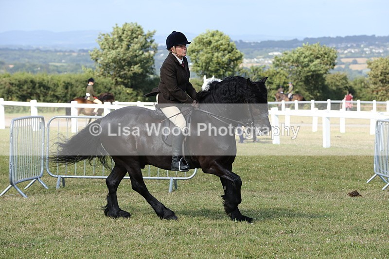1X9A5992 - Class 42: NPS Dales, Fell, Highland