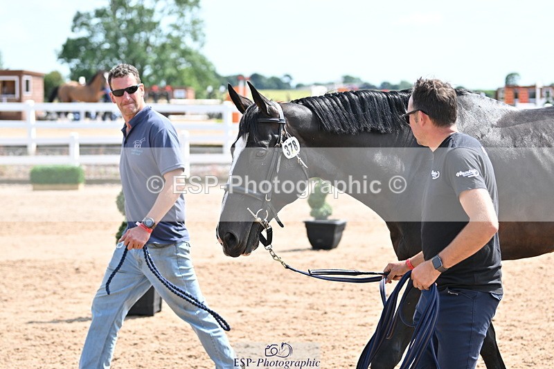 240717A-151438-02674 - Trot Up 3pm to 4pm