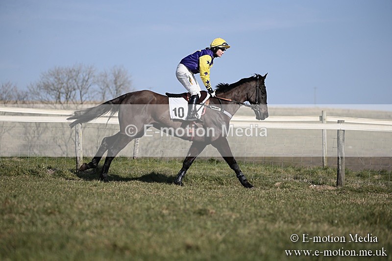 PtP 240218 213 - Vine & Craven Hunt Point-to-Point Barbury racecourse 24/02/18