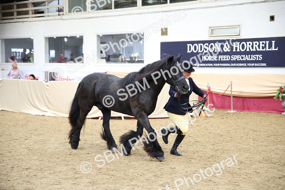 SBM_23406 - Class 904 - Supreme Final Ridden Diamond