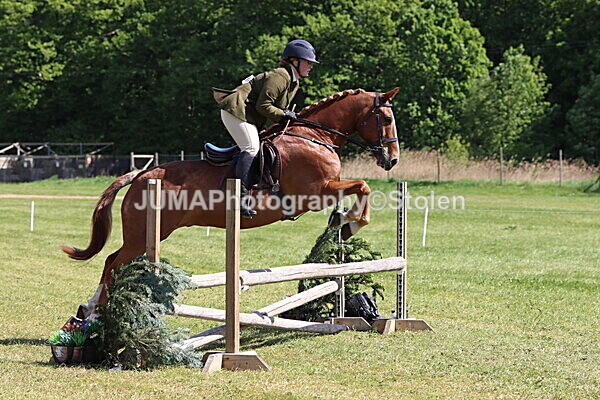 IMG_4555 - Working Hunter