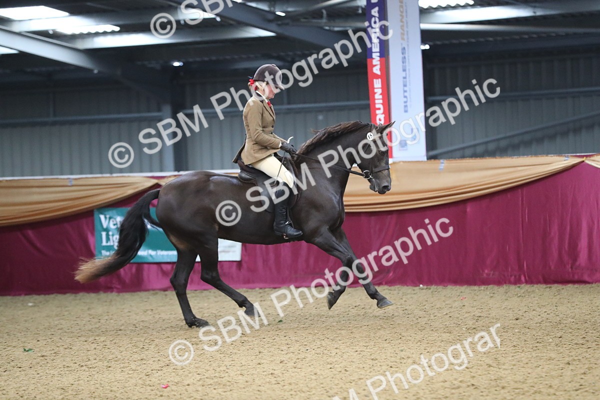 SBM_09321 - Class 101 Equitation (best rider), Junior