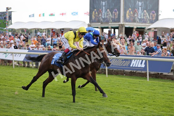 yr08072022r4-20 - Race 4 3.50pm William Hill Pick Your Places Stakes