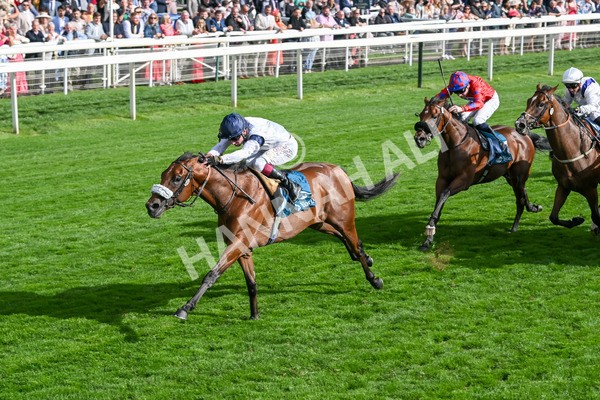 210825-Race 6-Stellar Sunrise-5208 - Race 6 4.45pm Mews Hotel Ossett EBF Stallions Nursery Handicap