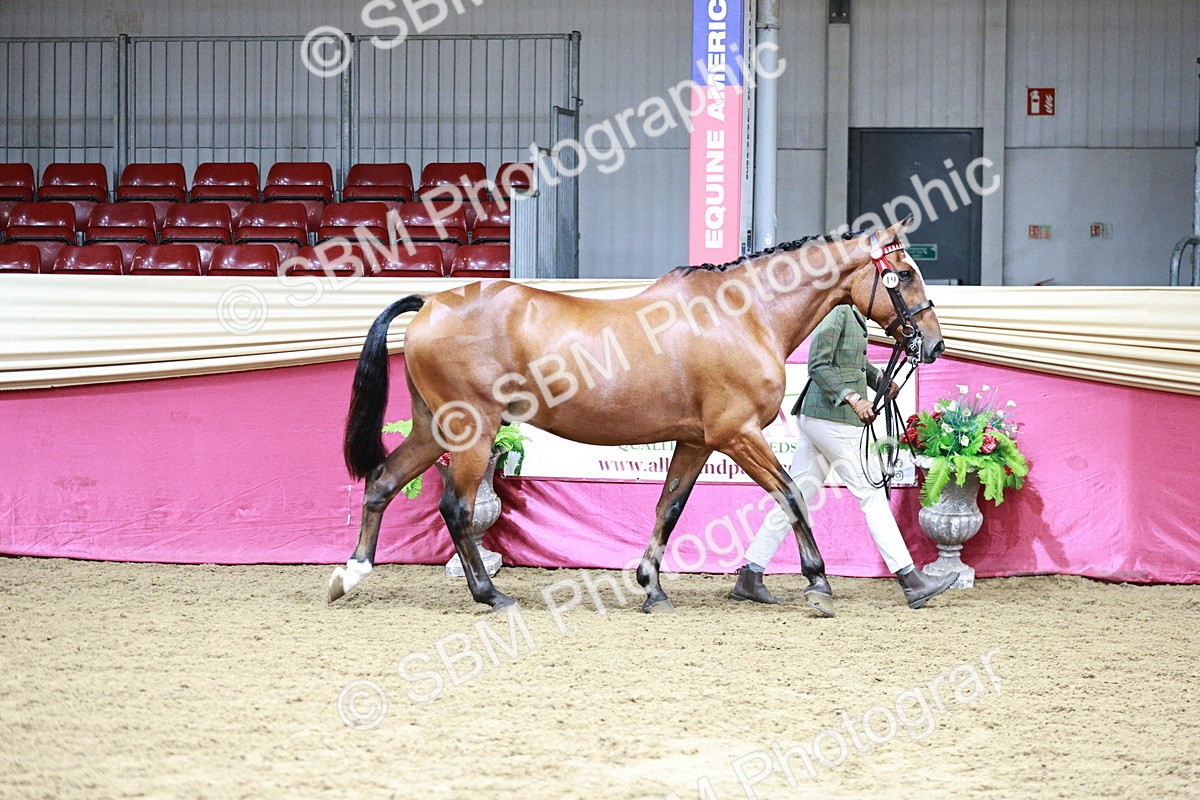 SBM_01116 - Class 3A - Area IH Pre-Vet