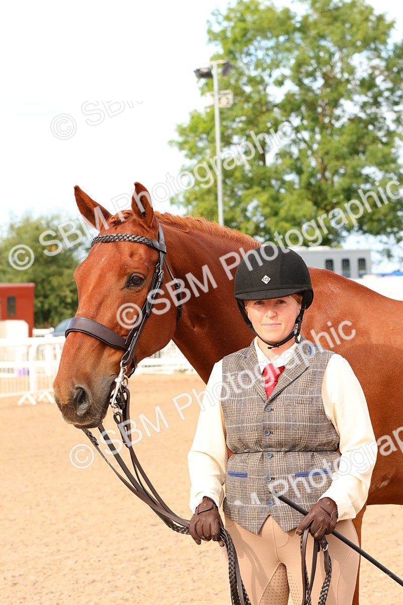 SBM_16599 - Class 702 - IH Show Horse - Pony