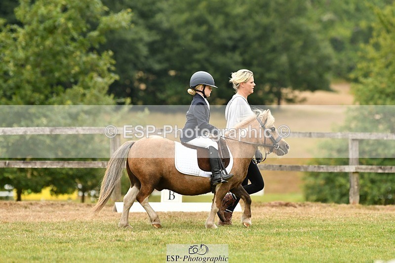 250820A-120219-05425 - 11am to 12