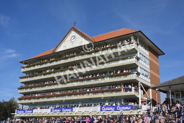 yr08102021r3-2 - Race 3 3.15pm Download The Casumo App Today Handicap