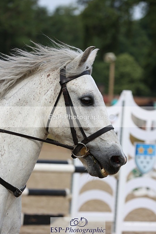 230617-090021-00489 - Cls 08a Pony 1.05