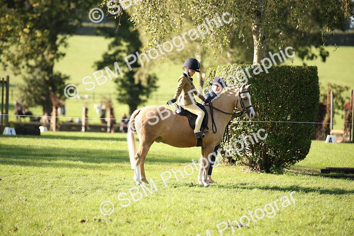 SBM_35667 - S9 - Lead Rein Equitation