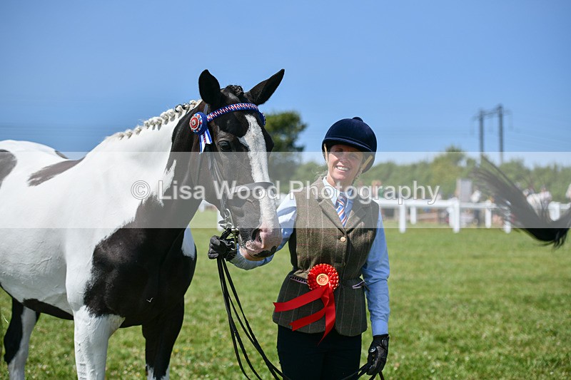 DSC_7880 - Class 65: Coloured Horse 4yrs & Over