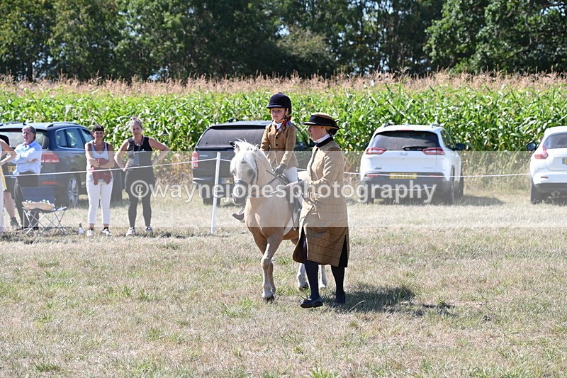 WJ6_8062 - Class 36 Lead Rein