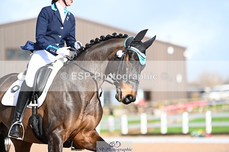 240218A-124436-07315 - 232-Alys.Matravers-VORVASHILL.VERTIGO