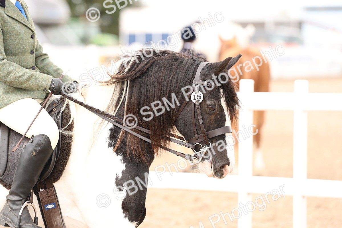 SBM_19633 - Class 216 - Ridden Traditional - Native Cob