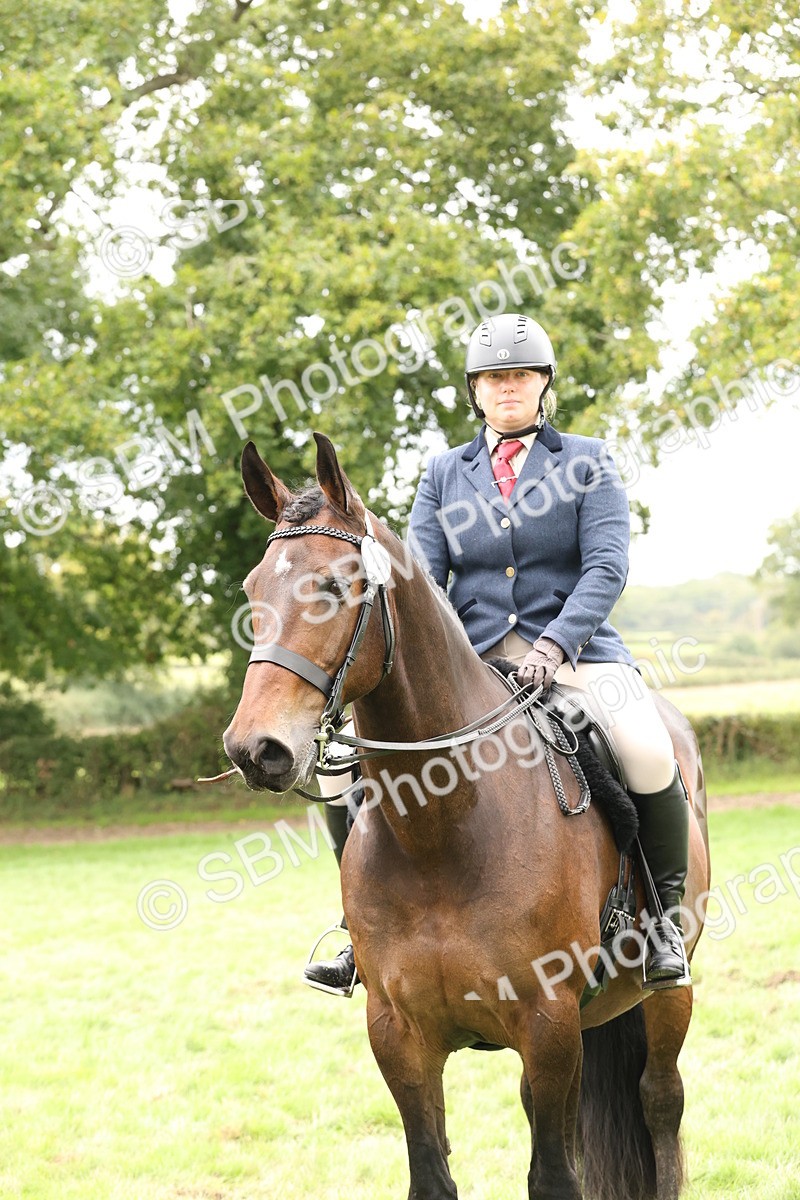 SBM_63048 - S64 - Foreign Breeds Ridden