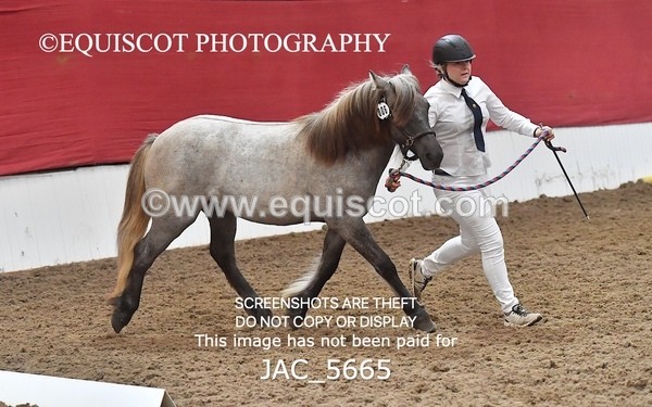 JAC_5665 - 6 Glenmuir Niamh