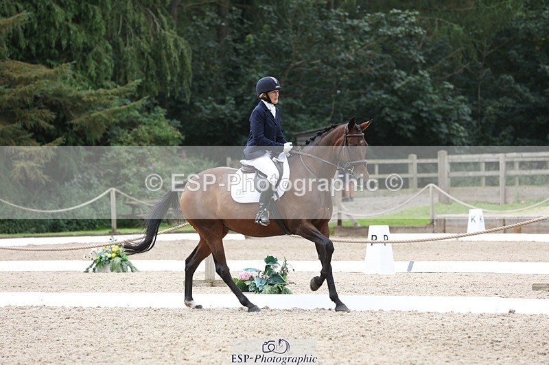 230812-123009-04025 - Cls 5 Novice Bronze 11.15 to 12.50 break