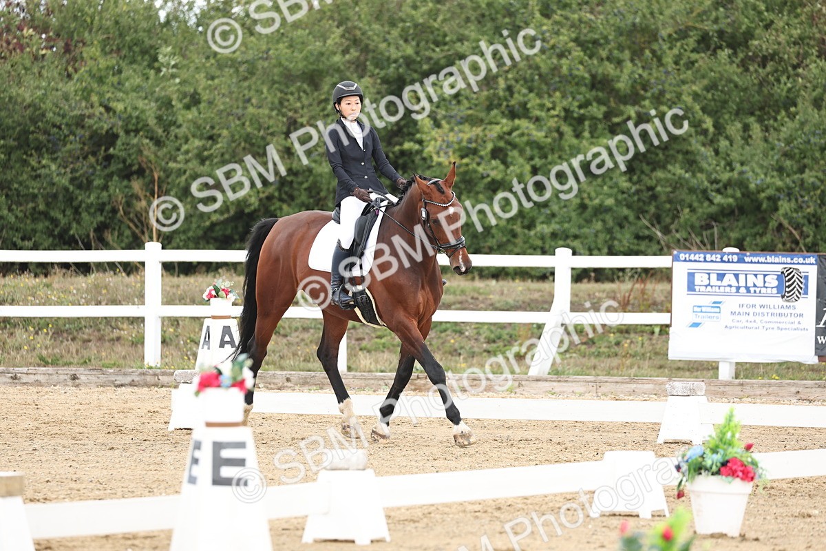 SBM_002515 - Class 7 - Novice 2 Warm Up