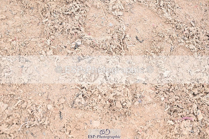 251029-100735-00173 - Discovery and 1m