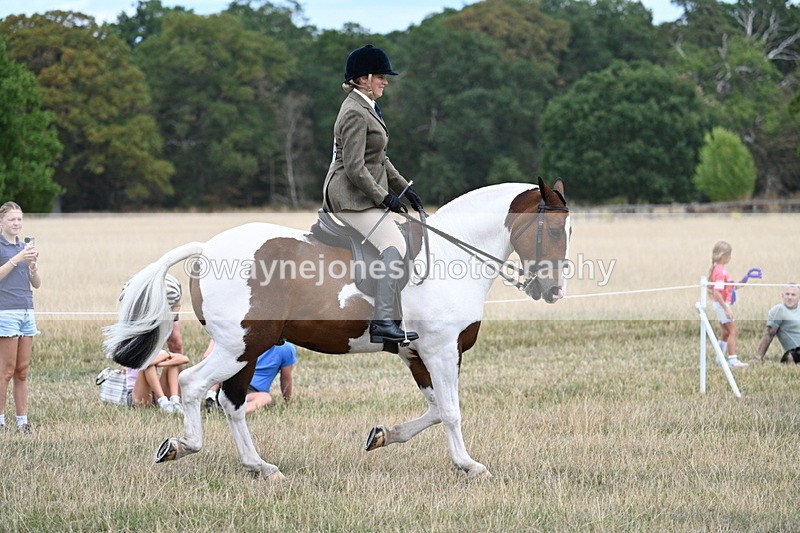 WJ7_4858 - Class 12 Ridden Cob