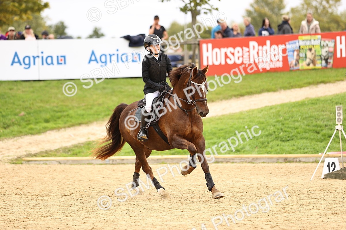 SBM_64689 - J17 - Junior Pony 80cm Championship