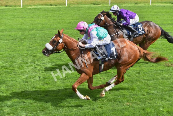 yr17082022r2-39 - Race 2 2.25pm Tattersalls Acomb Stakes