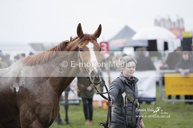 PtP 050323 906 - Blackmore & Sparkford Vale Hunt PtP - Somerset 05/03/23